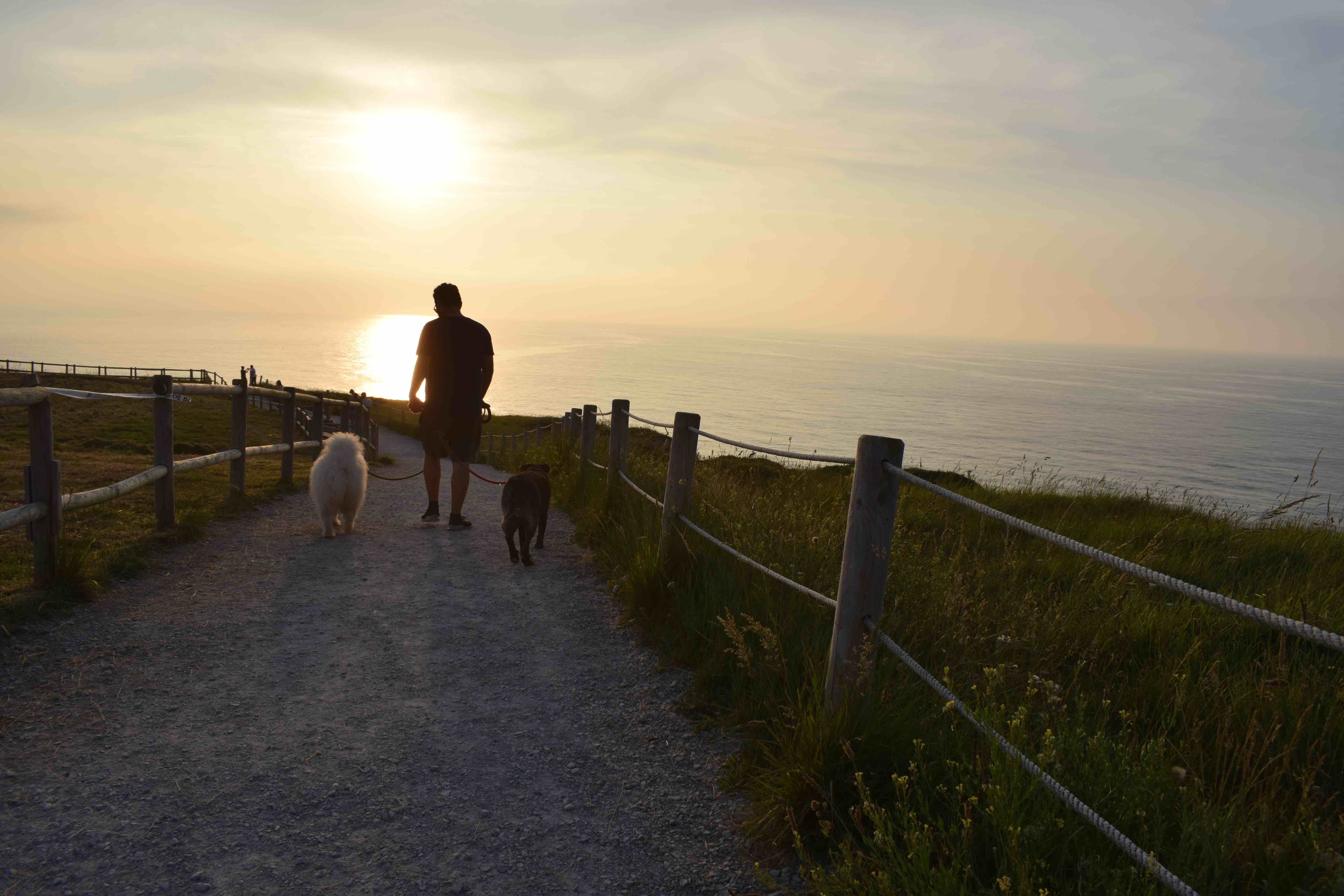 Ruta dog friendly en cantabria